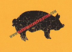 Hausfrauenrevolution